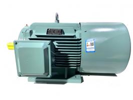 YVFE5系列超高效變頻調(diào)速電機(jī)(IE5一級(jí)能效)